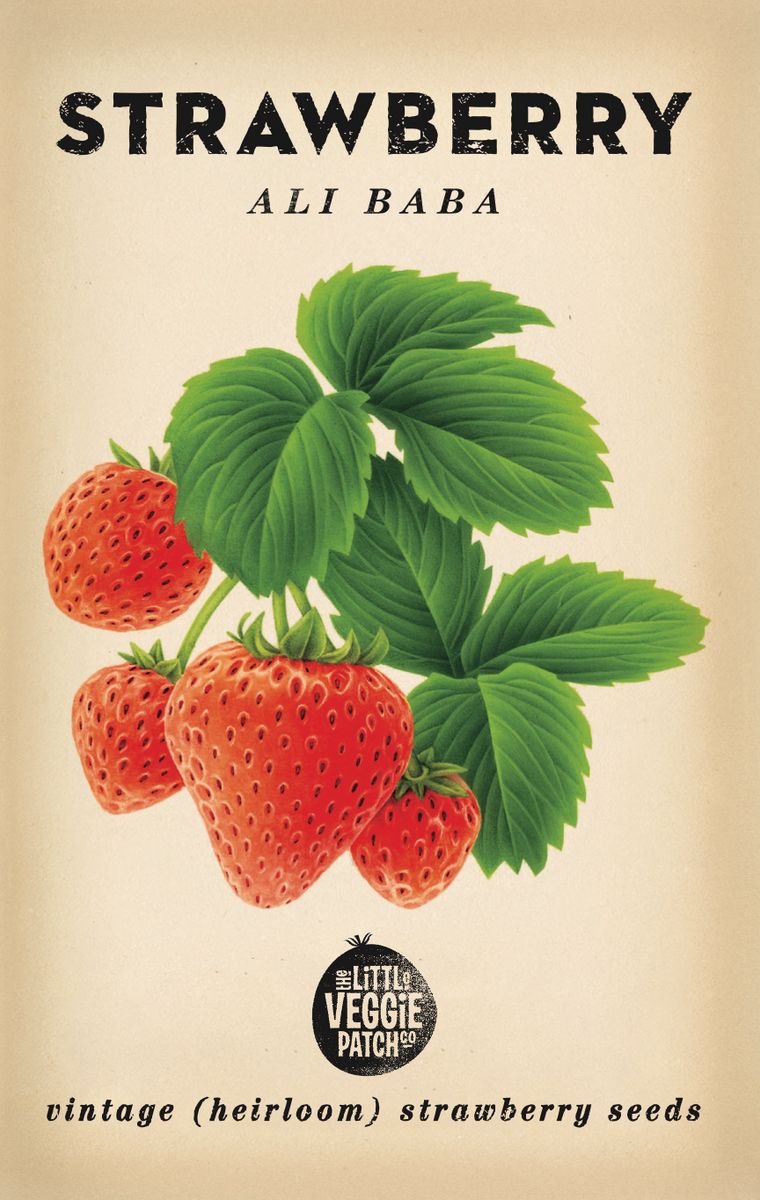 Strawberry "Ali Baba" Heirloom Seeds  The Little Veggie Patch Co