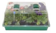 Mini Greenhouse