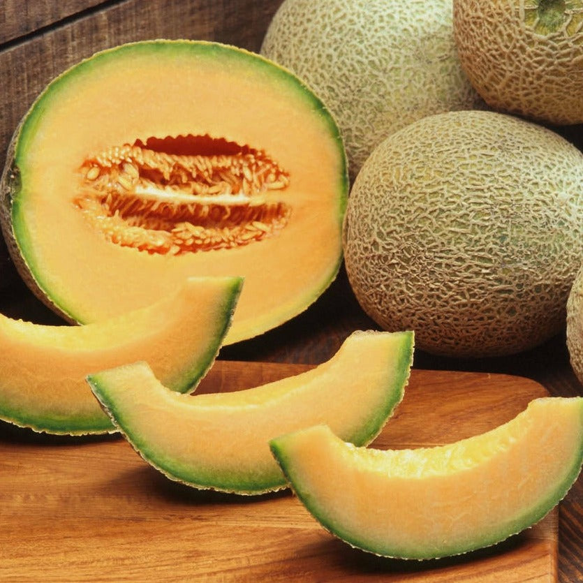 Rockmelon 'Hales Jumbo' Heirloom Seeds – The Little Veggie Patch Co