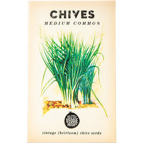 Chives 'Medium Common' Heirloom Seeds