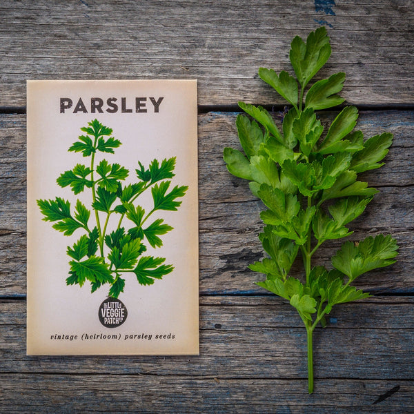 Parsley 'Italian' Heirloom Seeds