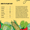 Planting Calendar TEMPERATE CLIMATEDigital