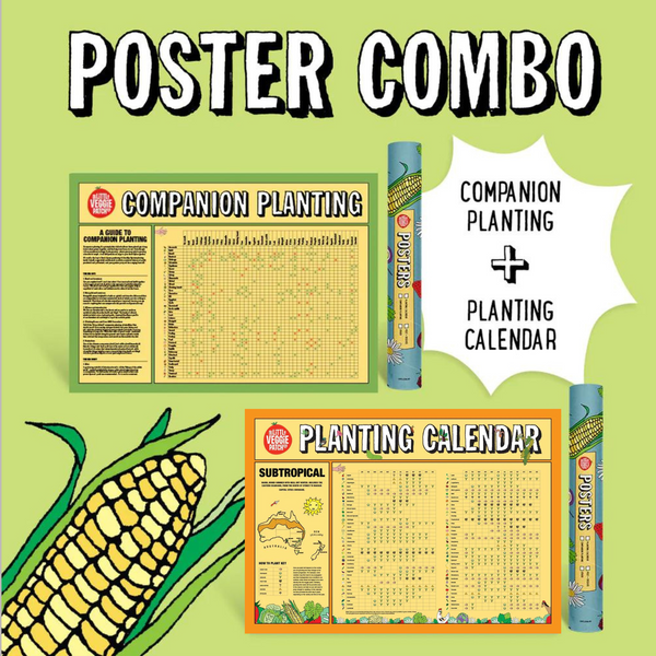 Climate Specific Planting Calendar + Companion Planting Chart Combo
