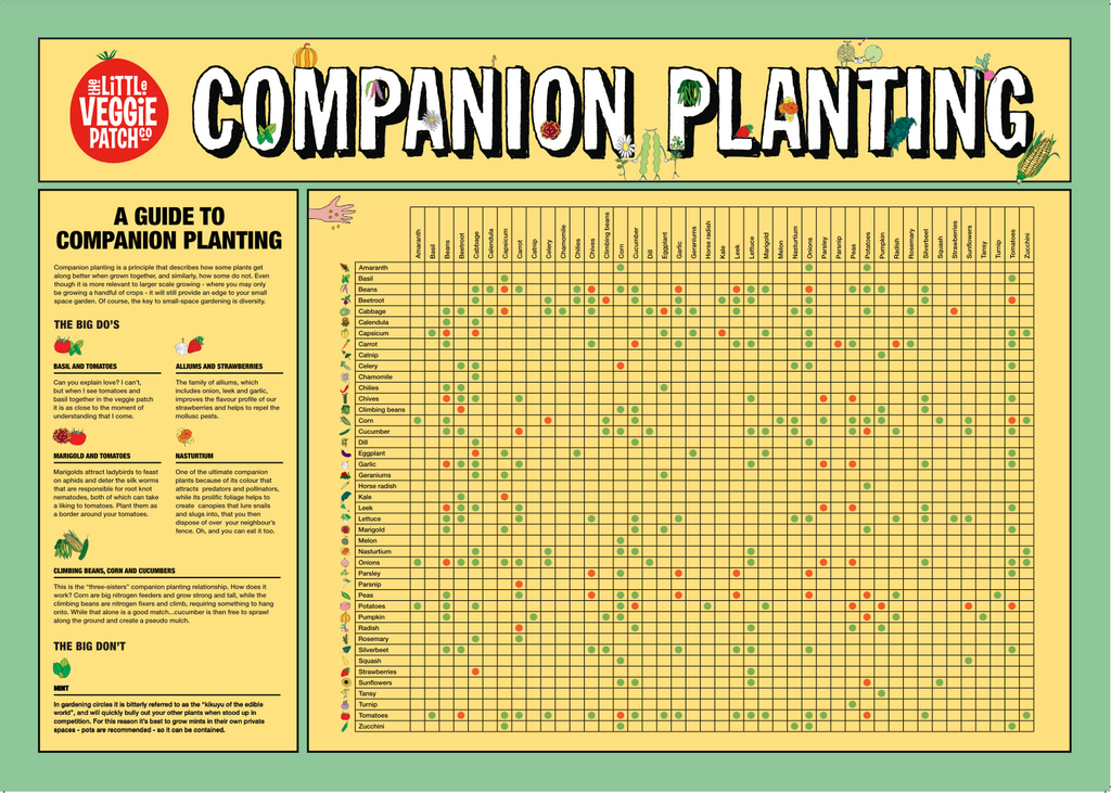 Climate Specific Planting Calendar + Companion Planting Chart Combo