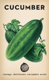 Cucumber 'Richmond Green' Heirloom Seeds