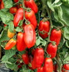 Tomato 'San Marzano' Heirloom Seeds