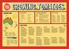 Tomato Planting Chart