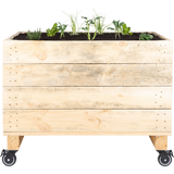 Choose your own crate adventure