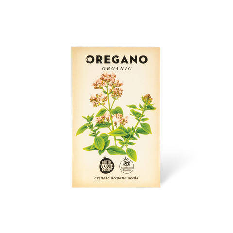 Oregano 'Common' Organic Seeds