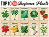 Planting Calendar + Heirloom Seed Bundle (FREE SHIPPING!)