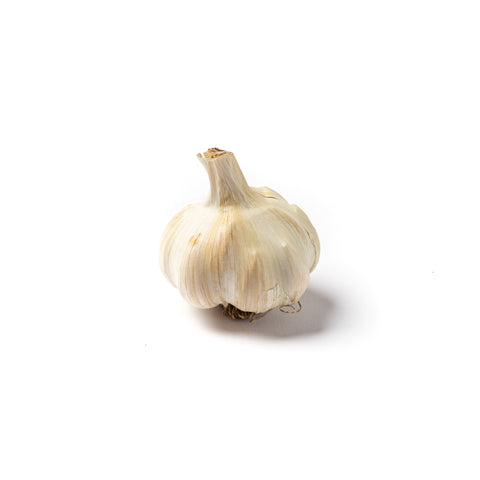White Crookneck Garlic Bulbs