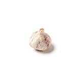 Master Jack Organic Garlic Bulbs