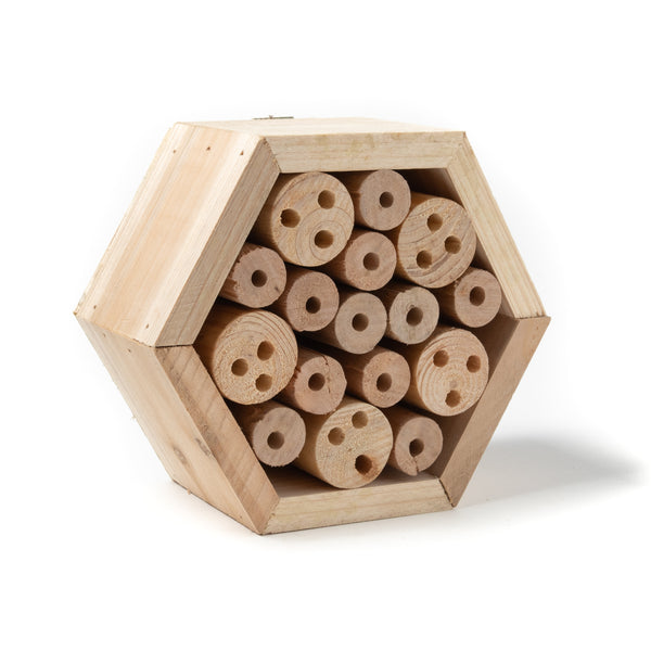 Hexagon Insect Hotel Wood