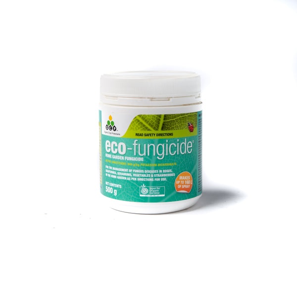 Eco-Fungicide 500g