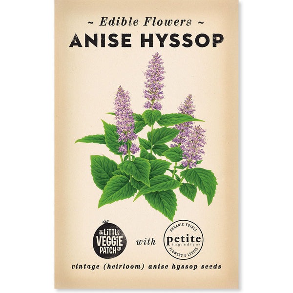 Hyssop "Anise" Heirloom seeds