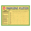 Companion Planting Chart Digital
