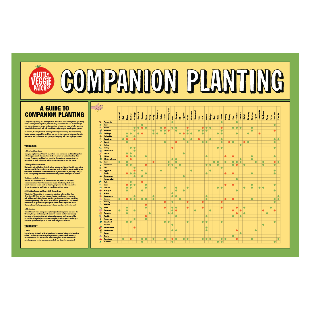 Veg Garden Planting Guide