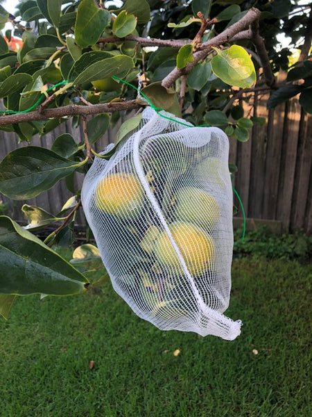 Fruit Protection Bag