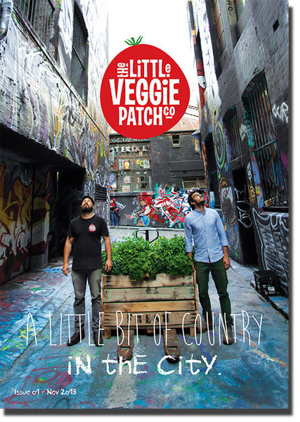 Little Veggie Patch Co's Digital Magazine - Nov 13