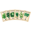 Leafy Green Seed Bundle