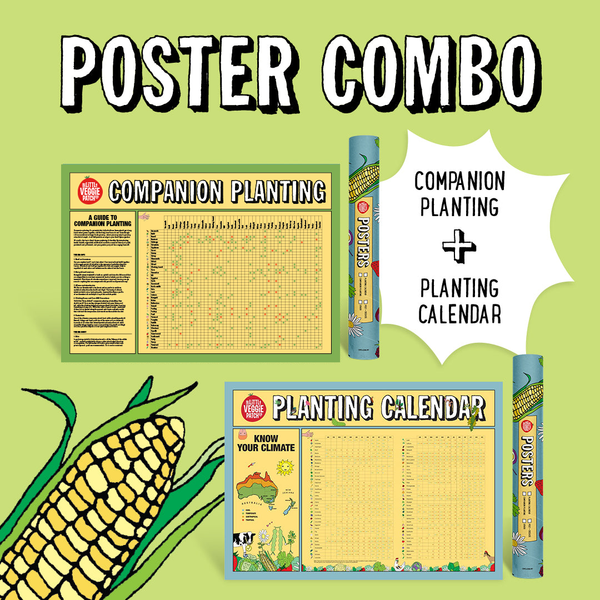 Planting Calendar + Companion Planting Chart Combo