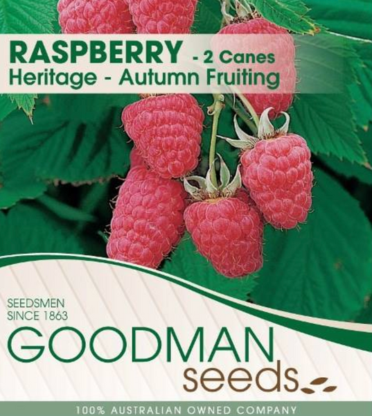 Raspberry Heritage (Autumn Fruiting) 3 Canes