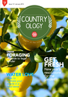 Little Veggie Patch Co's Digital Magazine - Jan 2015