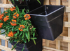 Wall Garden multi hang