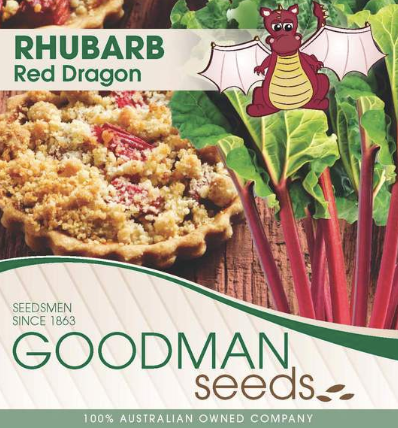 Rhubarb Crown 'Red Dragon'