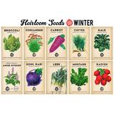 Planting Calendar + Heirloom Seed Bundle