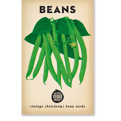 Bean 'Windsor Long Pod' Heirloom Seeds