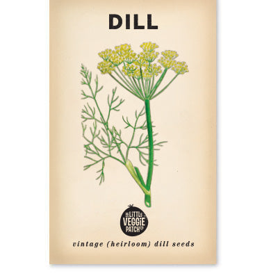 Dill 'Common' Heirloom Seeds
