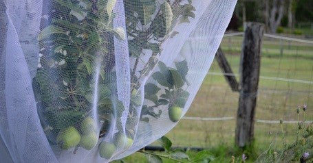 Fitted Insect Netting