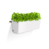 Glowpear Mini Rail Planter