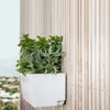 Glowpear Mini Wall Planter