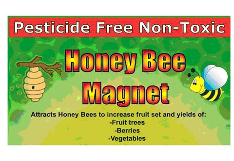 Honey Bee Magnet