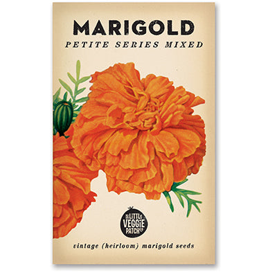 Marigold 'Petite Series Mixed' Heirloom Seeds