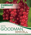 Red Currant