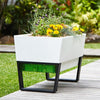 Glowpear Self Watering Planter