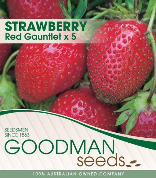 Strawberry Red Gauntlet (5 x runners)