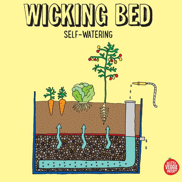 Wicking Beds 101