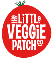 Wicking Beds 101  The Little Veggie Patch Co